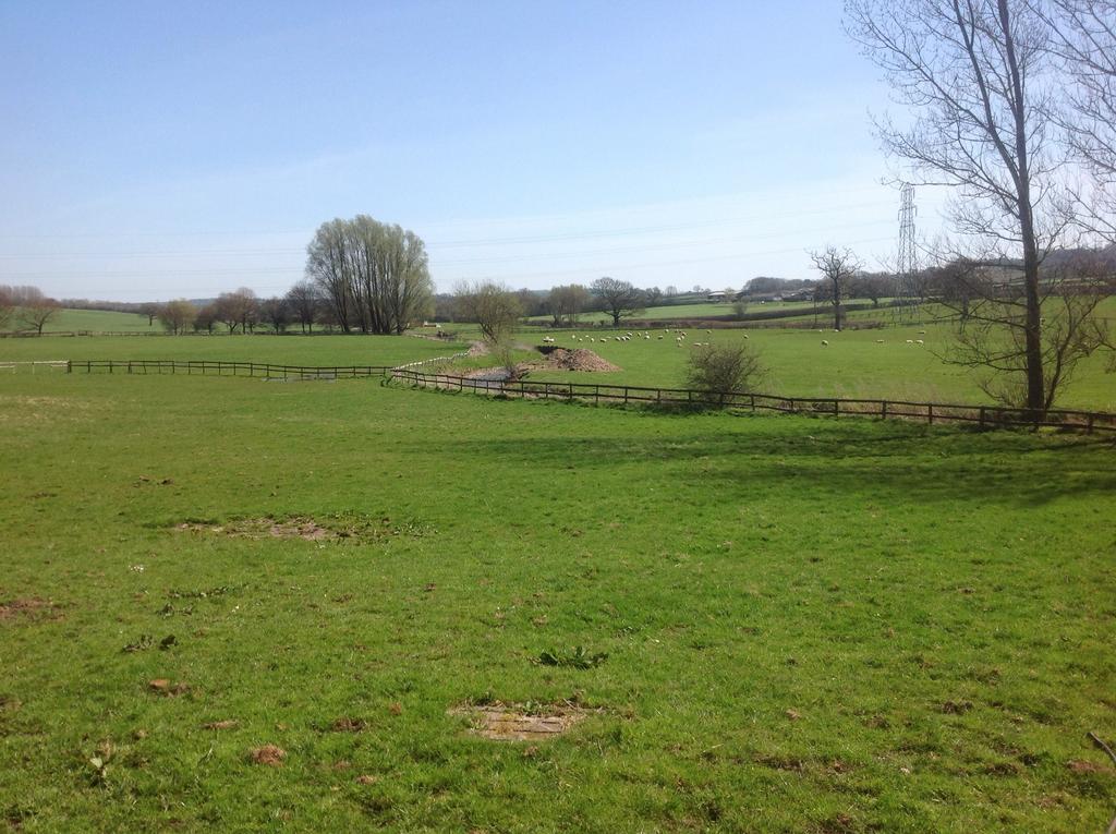 Seaborough Manor Farmhouse Bed & Breakfast Beaminster Eksteriør bilde